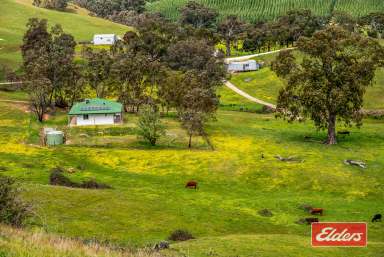 Farm For Sale - SA - Kersbrook - 5231 - COUNTRY PARADISE/ RURAL OUTLOOK /QUIET LOCATION/ 78 ACRES  (Image 2)