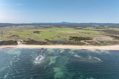 Farm For Sale - TAS - Beechford - 7252 - "The Currie" - A Rare Coastal Gem in Beechford, Tasmania  (Image 2)