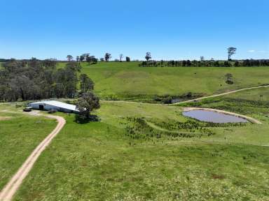 Farm Auction - NSW - Crookwell - 2583 - 'Roslyn' - Blue Ribbon, High Carrying Grazing & Farming Land  (Image 2)