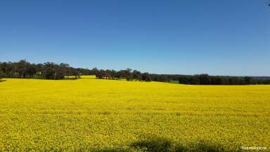 Farm For Sale - WA - Mayanup - 6244 - Prime Boyup Brook Property  (Image 2)