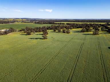 Farm For Sale - WA - Cranbrook - 6321 - "The Brook" | 266 Tetlow Road | Cranbrook  (Image 2)