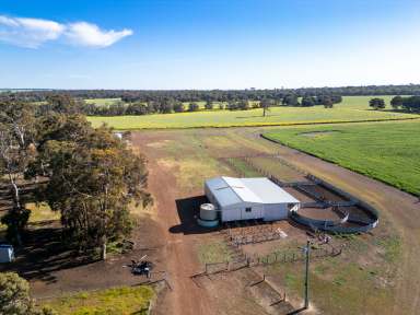 Farm For Sale - WA - Cranbrook - 6321 - "The Brook" | 266 Tetlow Road | Cranbrook  (Image 2)