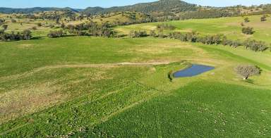 Farm Expressions of Interest - NSW - Cudal - 2864 - "A centrally located, well-developed mixed farm situated in the highly regarded Central Tablelands"  (Image 2)