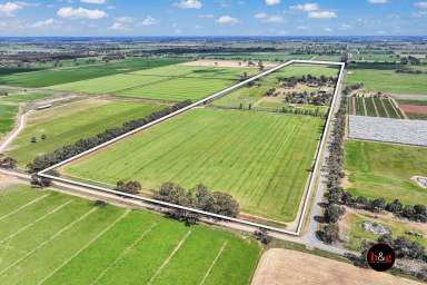 Farm For Sale - VIC - Undera - 3629 - 'Kalimna Park' Spacious Rural Living  (Image 2)