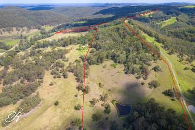 Farm For Sale - NSW - Booral - 2425 - 100 Acres of Rural Lifestyle and Agricultural Potential  (Image 2)