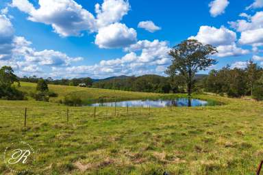 Farm For Sale - NSW - Booral - 2425 - 100 Acres of Rural Lifestyle and Agricultural Potential  (Image 2)