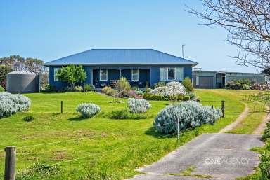 Farm For Sale - TAS - Marrawah - 7330 - The Perfect Mix Of Country & Coastal!  (Image 2)