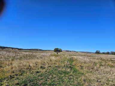 Farm For Sale - QLD - Plainby - 4355 - 260 acres on two separate titles, 10-minute drive from Crows Nest.  (Image 2)