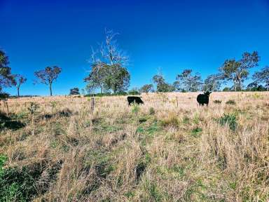 Farm For Sale - QLD - Plainby - 4355 - 260 acres on two separate titles, 10-minute drive from Crows Nest.  (Image 2)