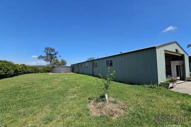 Farm For Sale - NSW - Muswellbrook - 2333 - 100 Acres, Ideal for a Big Family  (Image 2)