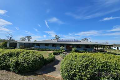 Farm For Sale - NSW - Muswellbrook - 2333 - 100 Acres, Ideal for a Big Family  (Image 2)