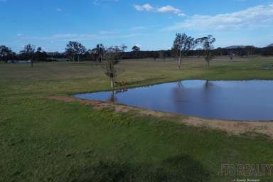 Farm For Sale - NSW - Muswellbrook - 2333 - 100 Acres, Ideal for a Big Family  (Image 2)