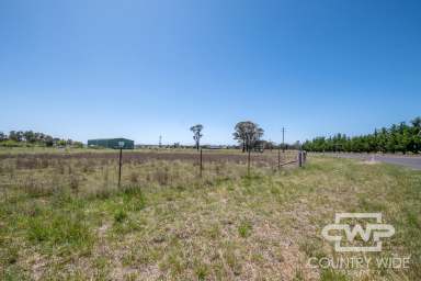 Farm For Sale - NSW - Guyra - 2365 - Large Building Block In Guyra  (Image 2)