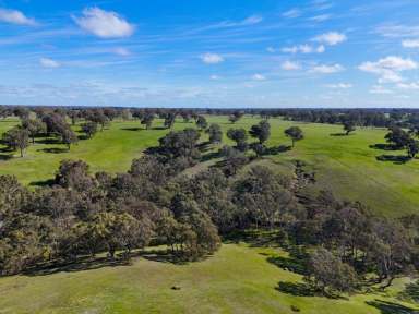 Farm For Sale - VIC - Nareen - 3315 - Expressions of Interest. Closing Friday November 15th at 1 pm. 1747.98 Ac - 707.38 Ha across 3 non-contingent lots  (Image 2)