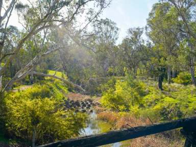 Farm For Sale - VIC - Nareen - 3315 - Expressions of Interest. Closing Friday November 15th at 1 pm. 1747.98 Ac - 707.38 Ha across 3 non-contingent lots  (Image 2)