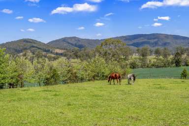 Farm Sold - NSW - Gloucester - 2422 - Your Dream Lifestyle Awaits: 10.72 Acres of Rural Bliss  (Image 2)