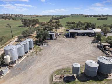 Farm Auction - SA - Buchanan - 5374 - Reliable Farming Land with Very Good Improvements  (Image 2)