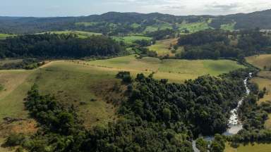 Farm For Sale - NSW - Megan - 2453 - 'Tullamore', Dorrigo  (Image 2)