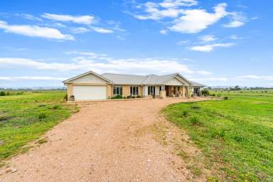 Farm For Sale - VIC - Toongabbie - 3856 - 103 Acre Farm with Modern Home | Tranquil Living in Toongabbie, VIC  (Image 2)