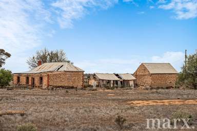 Farm For Sale - SA - Sandleton - 5356 - Your new rural opportunity awaits….  (Image 2)