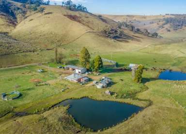 Farm For Sale - NSW - Ben Bullen - 2790 - COMO VALLEY - 535 Hectares or 1321 Acres  (Image 2)