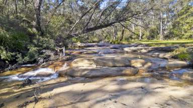 Farm For Sale - NSW - Hartley Vale - 2790 - "The Willows" – A 221-Acre Rural Sanctuary with Endless Possibilities  (Image 2)