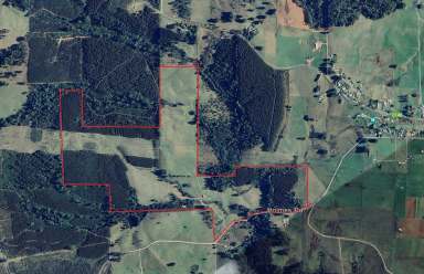 Farm For Sale - TAS - Roland - 7306 - Productive Acreage, Mixed Farming Options, Expansive Views  (Image 2)