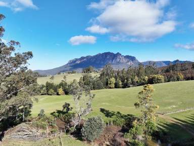 Farm For Sale - TAS - Roland - 7306 - Productive Acreage, Mixed Farming Options, Expansive Views  (Image 2)