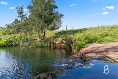 Farm For Sale - NSW - Glendon Brook - 2330 - AUCTION CANCELLED, SOLD PRIOR TO AUCTION - "EMERALD PARK" | BEAUTIFUL CREEK SETTING | POTENTIAL PLUS  (Image 2)