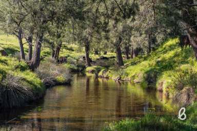 Farm For Sale - NSW - Glendonbrook - 2330 - FIRST CLASS GRAZING | DOUBLE CREEK FRONTAGE | 188 ACRES  (Image 2)