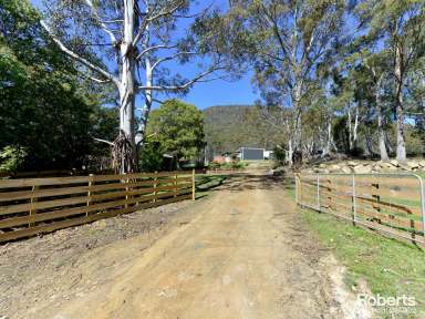 Farm For Sale - TAS - Collinsvale - 7012 - Secluded Family Retreat on 3.19 Hectares  (Image 2)