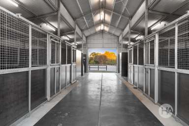 Farm For Sale - VIC - Balnarring - 3926 - Luxury Living & Equestrian Excellence in the Heart of the Peninsula  (Image 2)