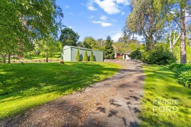 Farm For Sale - VIC - Jeeralang Junction - 3840 - Charming Rural Retreat  (Image 2)