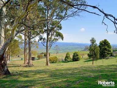 Farm For Sale - TAS - Black Hills - 7140 - Stunning Black Hills - Great Views - Hobby Farm Potential  (Image 2)