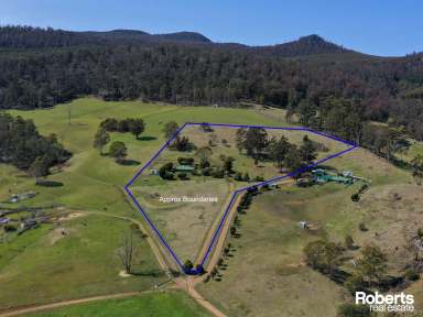 Farm For Sale - TAS - Black Hills - 7140 - Stunning Black Hills - Great Views - Hobby Farm Potential  (Image 2)