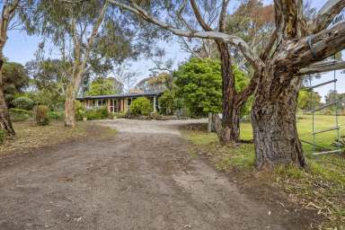 Farm For Sale - VIC - Curlewis - 3222 - "Coorumbene" on the Bellarine Peninsula  (Image 2)