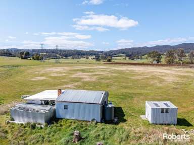 Farm For Sale - TAS - Nook - 7306 - What An Opportunity  (Image 2)