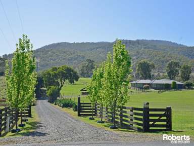 Farm For Sale - TAS - Malbina - 7140 - Lifestyle Property in Picturesque Derwent Valley  (Image 2)