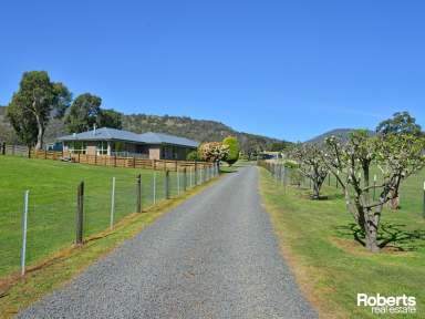 Farm For Sale - TAS - Malbina - 7140 - Lifestyle Property in Picturesque Derwent Valley  (Image 2)