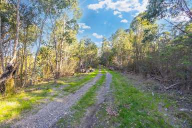 Farm For Sale - VIC - Scotsburn - 3352 - Escape to your own bush hideaway!  (Image 2)