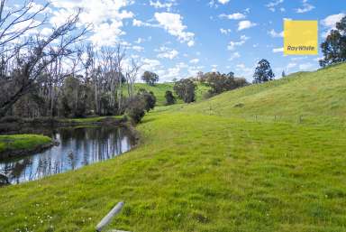 Farm For Sale - WA - Nannup - 6275 - 17 ACRES ON THE NANNUP BROOK  (Image 2)