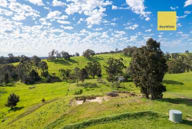 Farm For Sale - WA - Nannup - 6275 - 17 ACRES ON THE NANNUP BROOK  (Image 2)