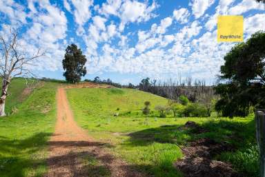 Farm For Sale - WA - Nannup - 6275 - 17 ACRES ON THE NANNUP BROOK  (Image 2)