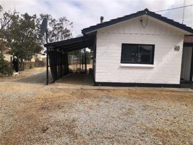 Farm For Sale - WA - Trayning - 6488 - Property for Sale - 40 Coronation Street, Trayning  (Image 2)