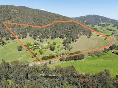 Farm Auction - VIC - Pine Mountain - 3709 - Welcome to Your Slice of Paradise at 9812 Murray River Road, Pine Mountain!  (Image 2)