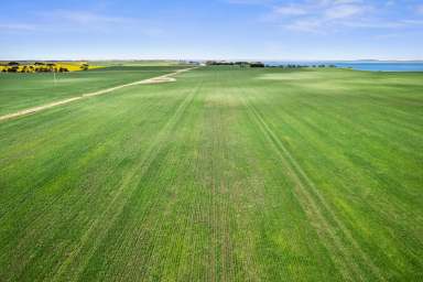 Farm For Sale - VIC - Lismore - 3324 - "A Prime Mixed Farming Opportunity in Victoria's Western District"  (Image 2)