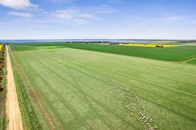 Farm For Sale - VIC - Lismore - 3324 - "A Prime Mixed Farming Opportunity in Victoria's Western District"  (Image 2)