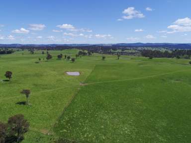 Farm For Sale - NSW - Walcha - 2354 - One of the New England's Finest Agricultural Assets  (Image 2)