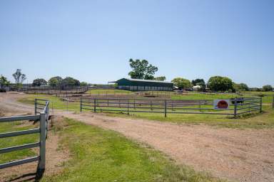 Farm Auction - NSW - Southgate - 2460 - The Final Chapter of the Home of Sumo Wagyu  (Image 2)