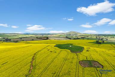 Farm For Sale - NSW - Boorowa - 2586 - TURN KEY CROPPING & GRAZING OPPORTUNITY.  (Image 2)